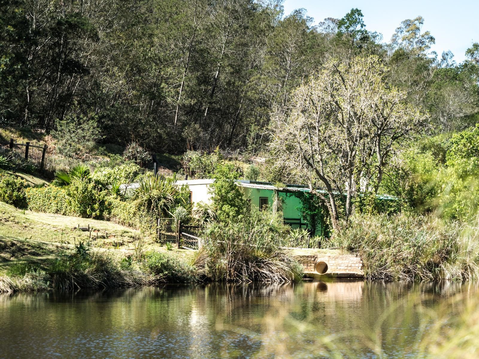 Blommekloof Country Cottages Ruiterbos Western Cape South Africa River, Nature, Waters