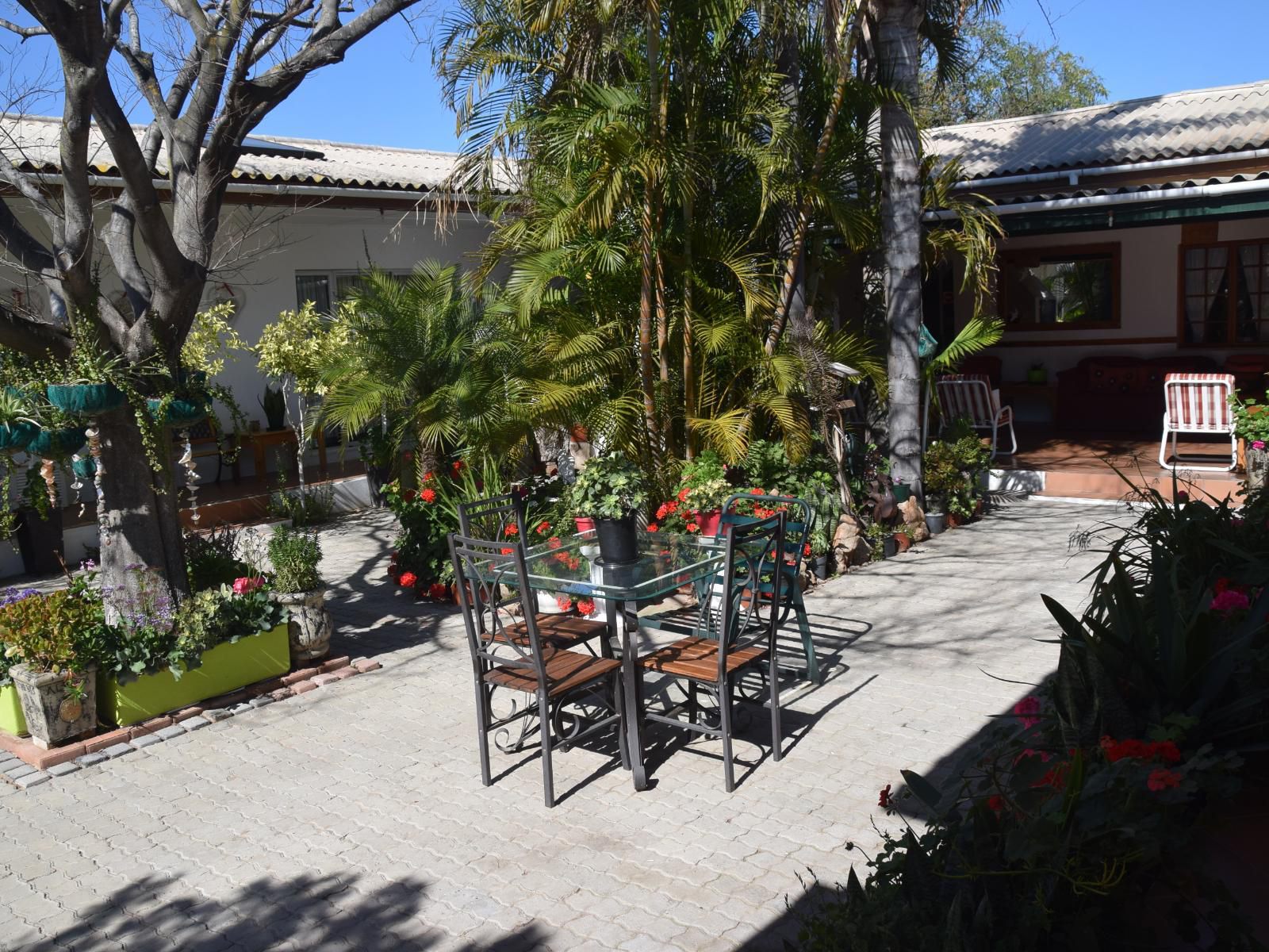 Blommenberg Guest House Clanwilliam Western Cape South Africa House, Building, Architecture, Palm Tree, Plant, Nature, Wood