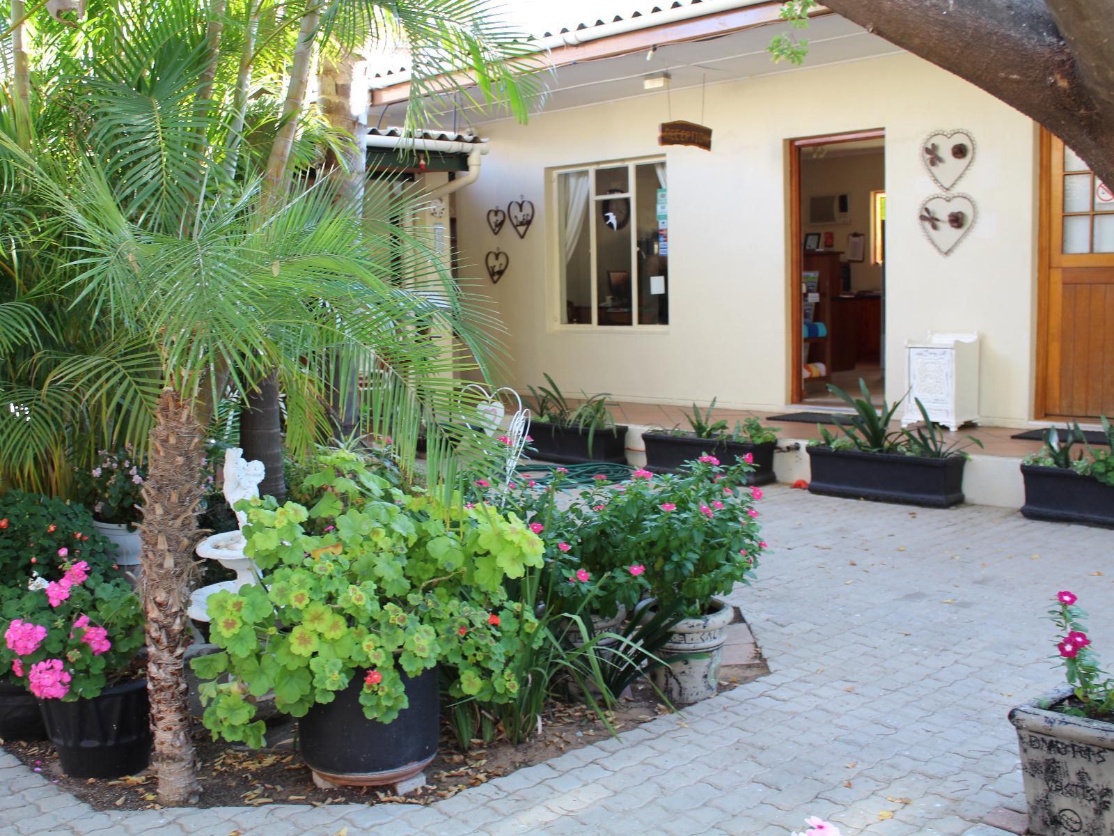 Blommenberg Guest House Clanwilliam Western Cape South Africa House, Building, Architecture, Palm Tree, Plant, Nature, Wood