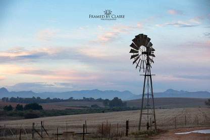 Blou Porselein Guest Farm Hermon Western Cape South Africa Field, Nature, Agriculture, Lowland