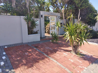 Blouberg Studios Bloubergrant Blouberg Western Cape South Africa Palm Tree, Plant, Nature, Wood, Garden