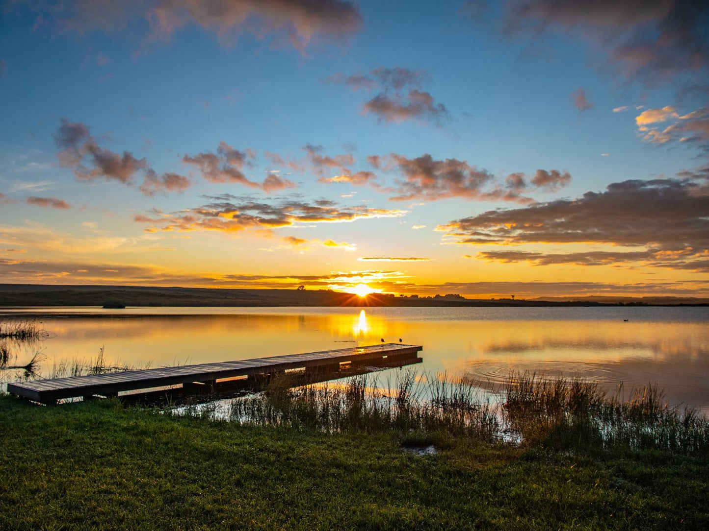 Blue Crane Farm Dullstroom Mpumalanga South Africa Complementary Colors, Sky, Nature, Sunset