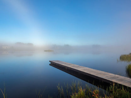 Blue Crane Farm Dullstroom Mpumalanga South Africa Fog, Nature