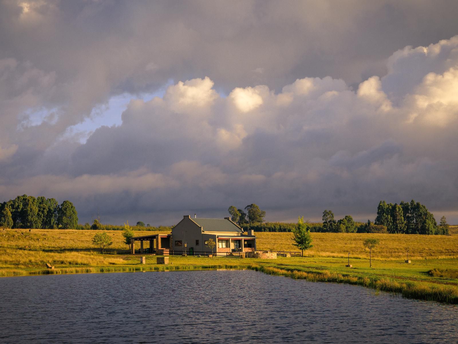 Blue Crane Farm Dullstroom Mpumalanga South Africa Nature