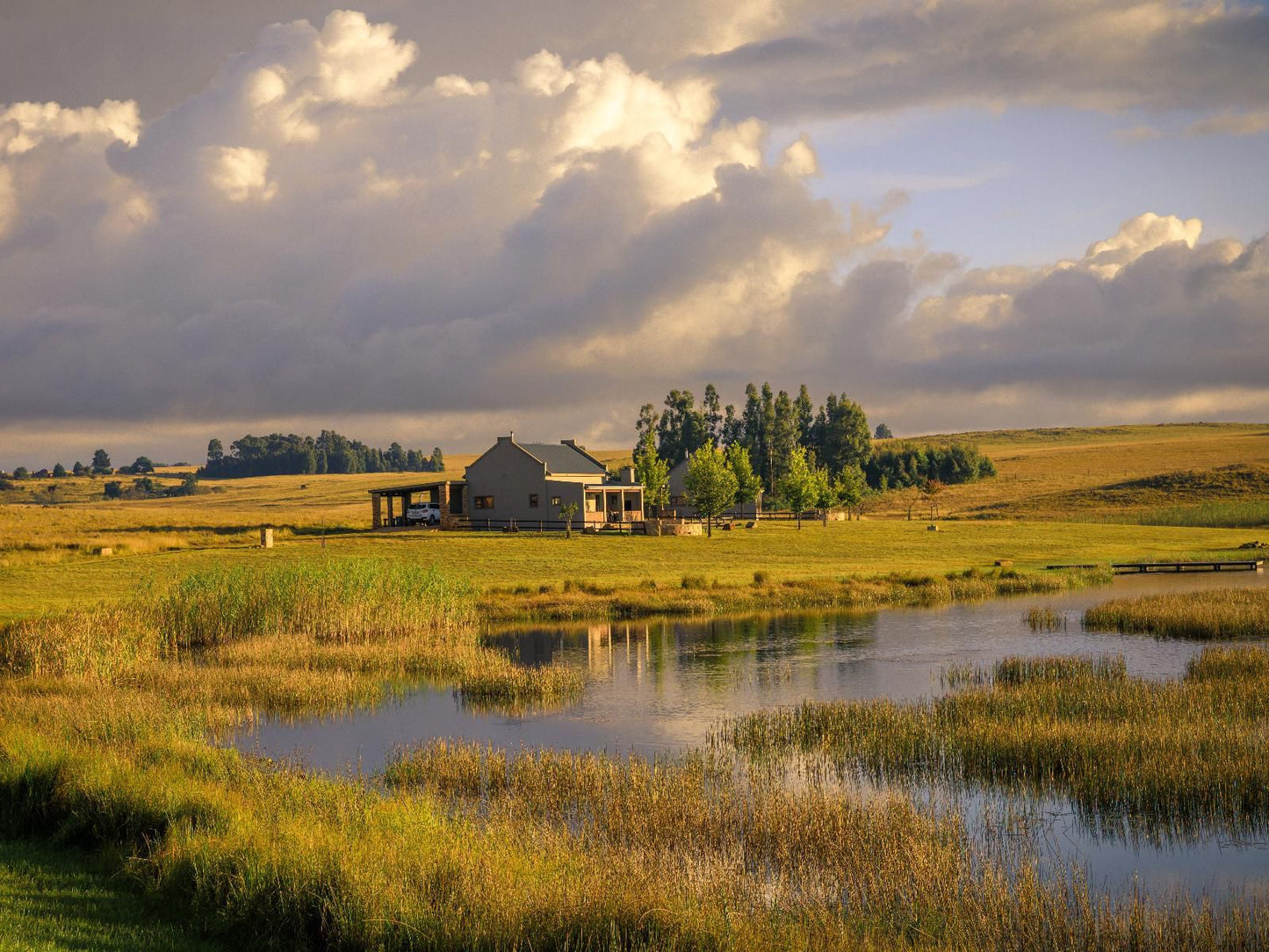 Blue Crane Farm Dullstroom Mpumalanga South Africa Lowland, Nature