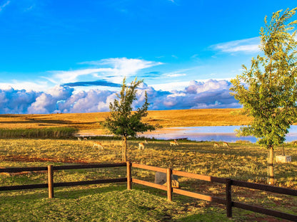 Blue Crane Farm Dullstroom Mpumalanga South Africa Complementary Colors, Colorful, Nature