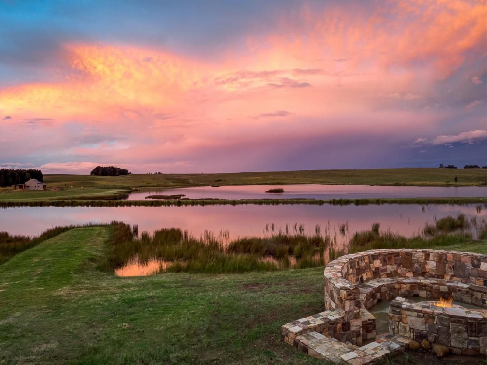 Blue Crane Farm Dullstroom Mpumalanga South Africa Nature