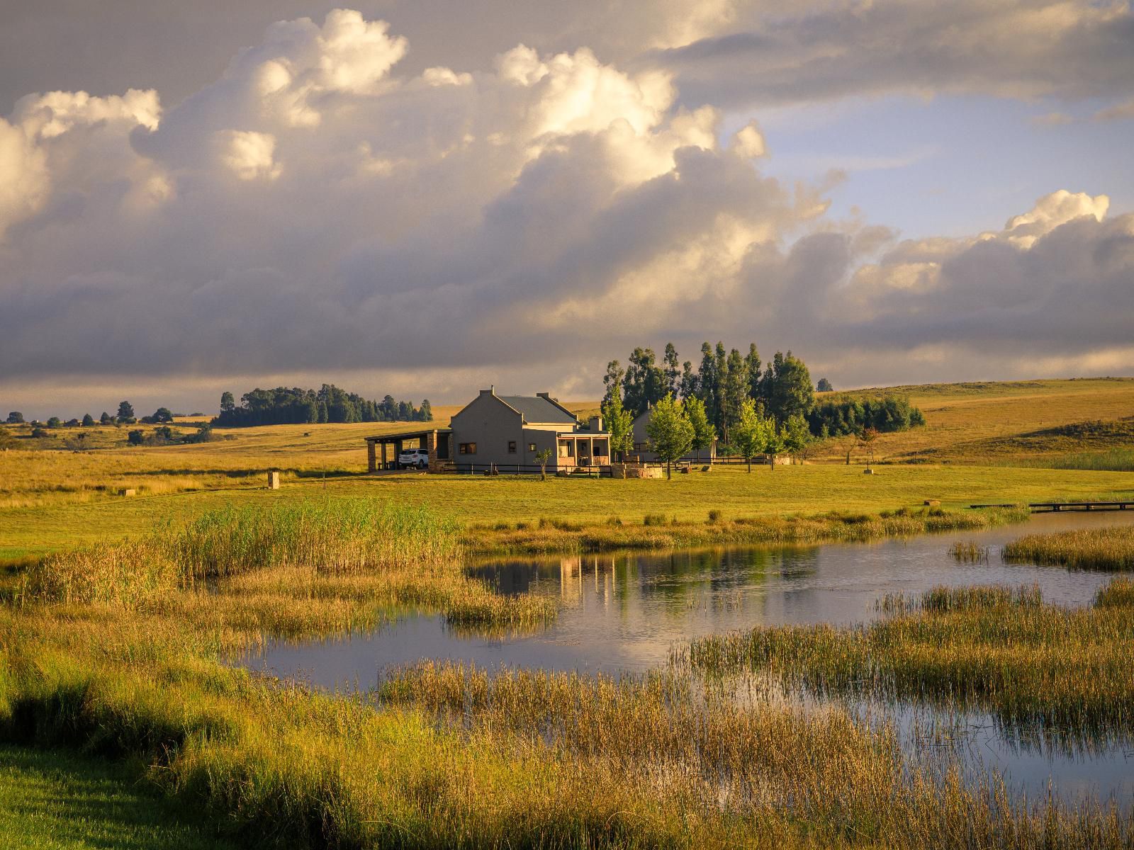 Blue Crane Farm Dullstroom Mpumalanga South Africa Barn, Building, Architecture, Agriculture, Wood, Lowland, Nature