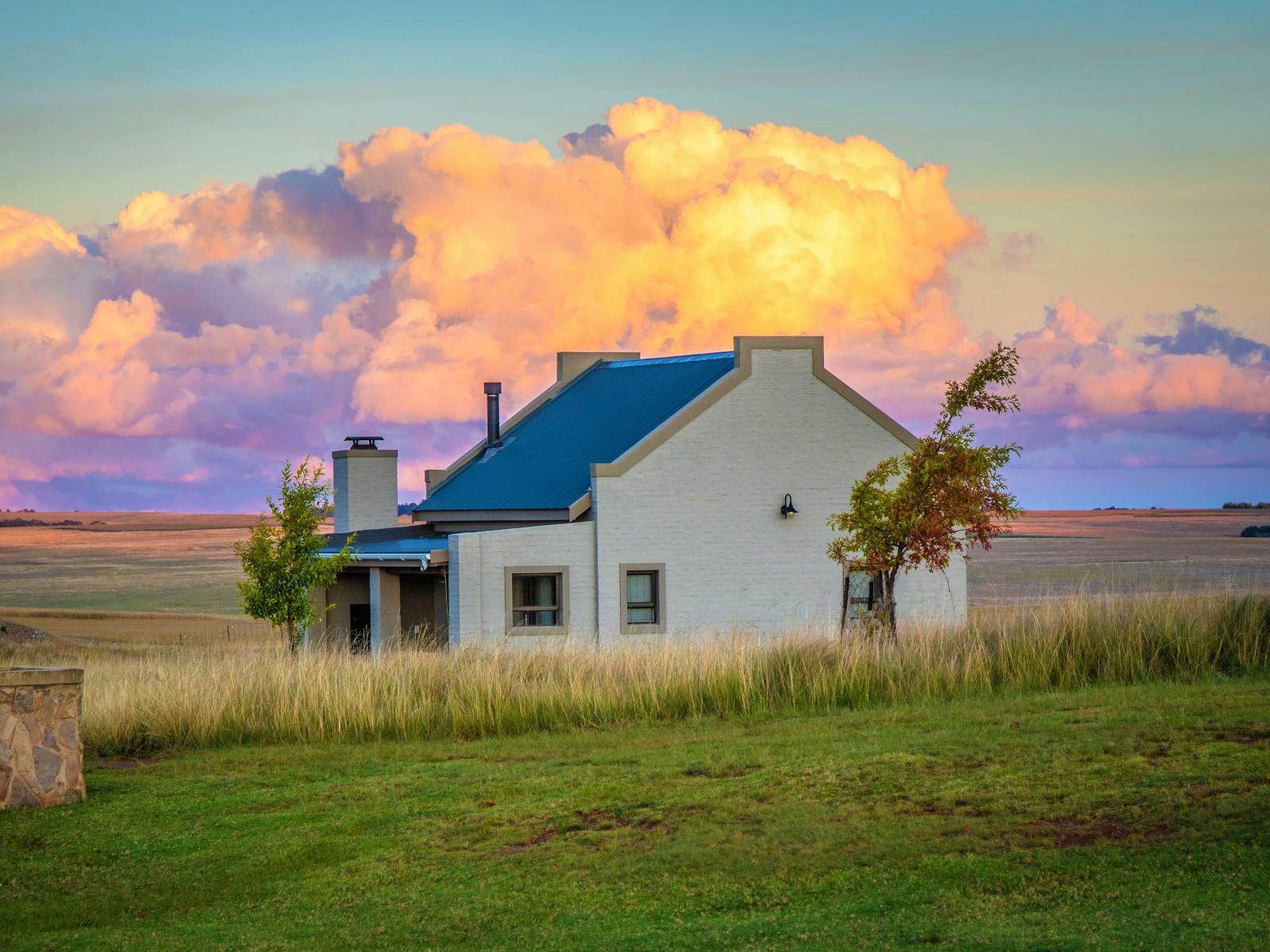 Blue Crane Farm Dullstroom Mpumalanga South Africa Complementary Colors, Barn, Building, Architecture, Agriculture, Wood, Lowland, Nature