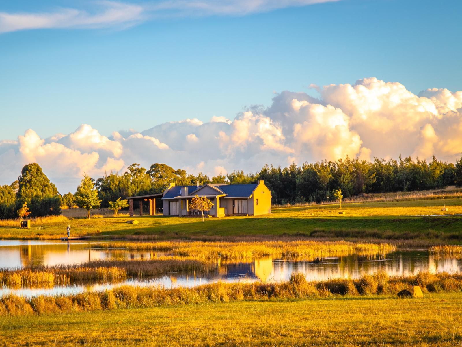 Blue Crane Farm Dullstroom Mpumalanga South Africa Complementary Colors, Lowland, Nature