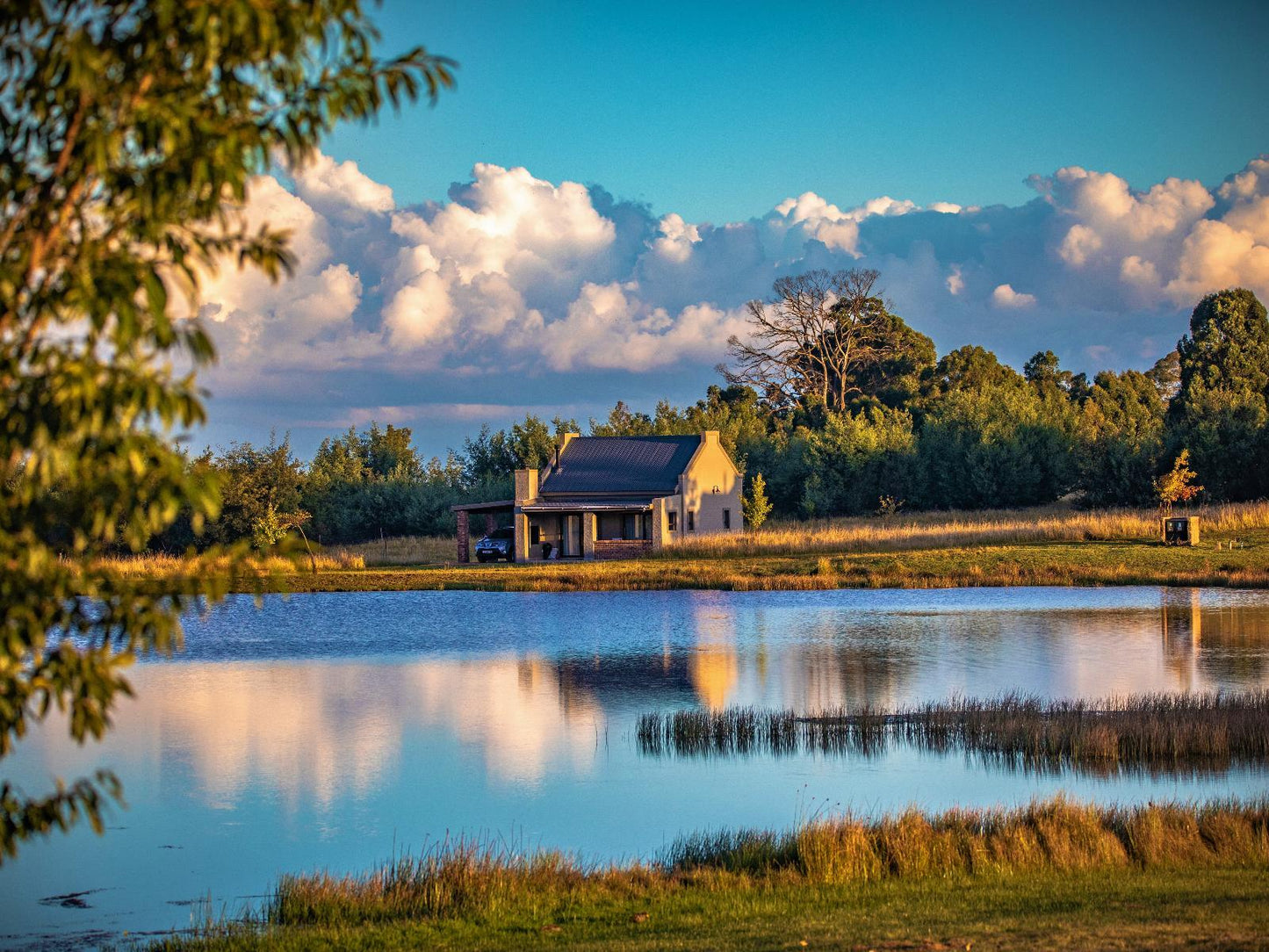 Lawrenny @ Blue Crane Farm