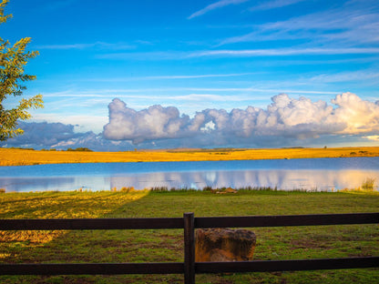 Misty Waters @ Blue Crane Farm