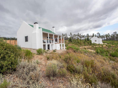 Blue Crane Farm Lodge, Building, Architecture, House