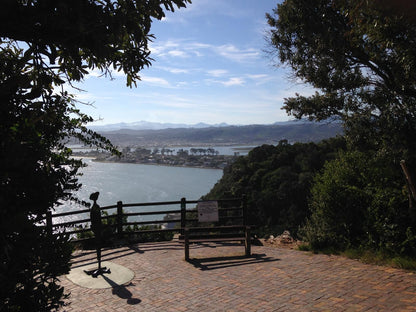 Blue Fern Of Knysna Costa Sarda Knysna Western Cape South Africa Lake, Nature, Waters, Highland