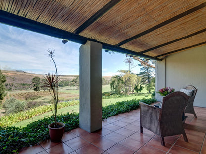 Blue Gum Country Estate Stanford Western Cape South Africa Framing, Garden, Nature, Plant