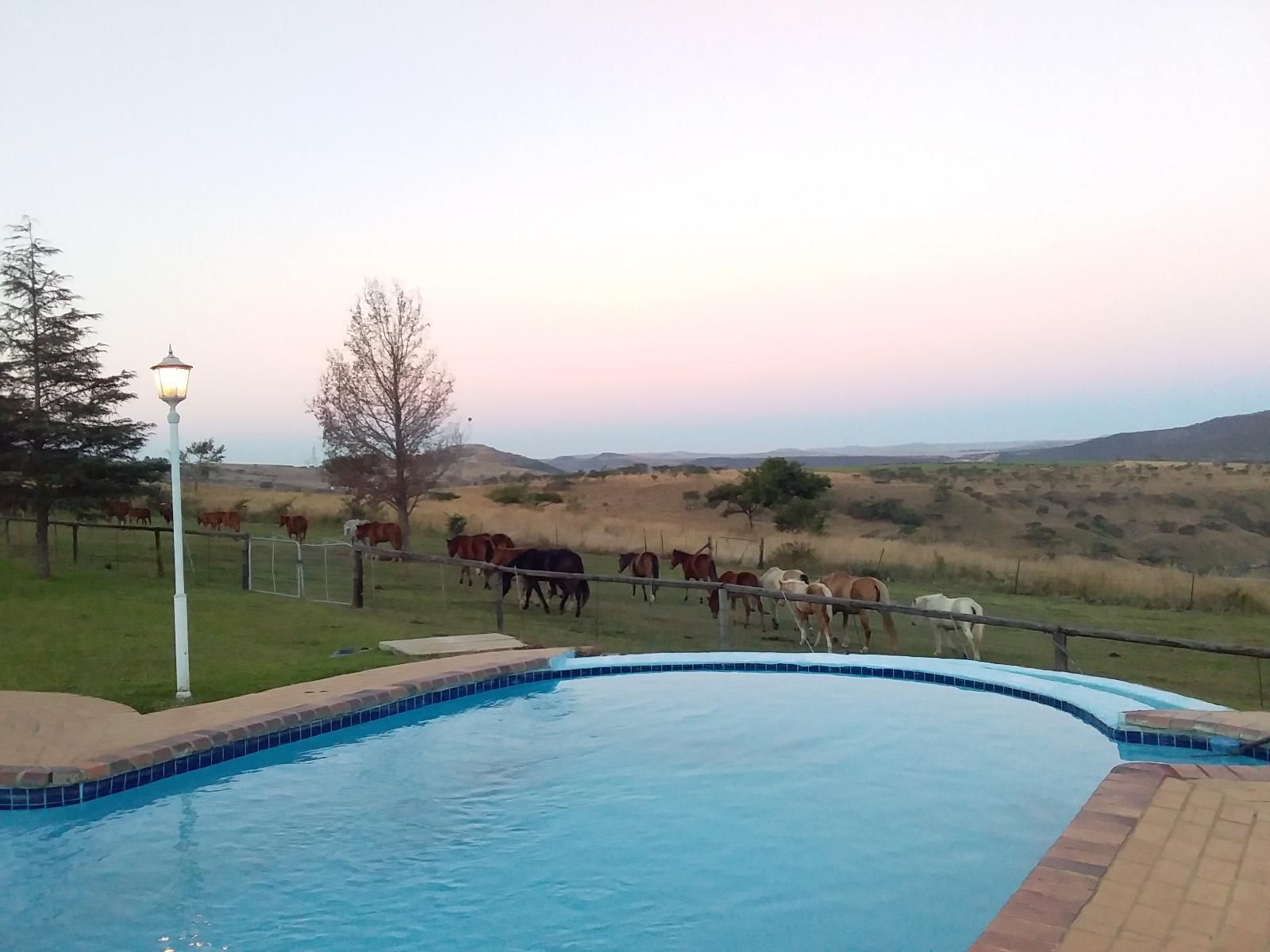 Blue Haze Country Lodge Estcourt Kwazulu Natal South Africa Swimming Pool