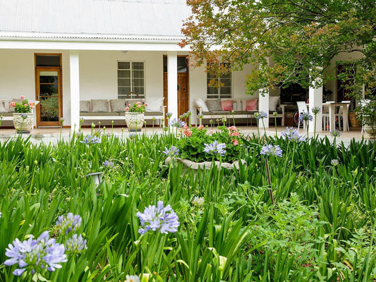 Blue Lily Retreat Matjesrivier Oudtshoorn Western Cape South Africa House, Building, Architecture, Plant, Nature, Garden
