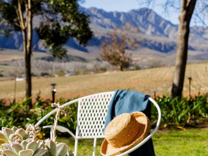 Blue Lily Retreat Matjesrivier Oudtshoorn Western Cape South Africa 