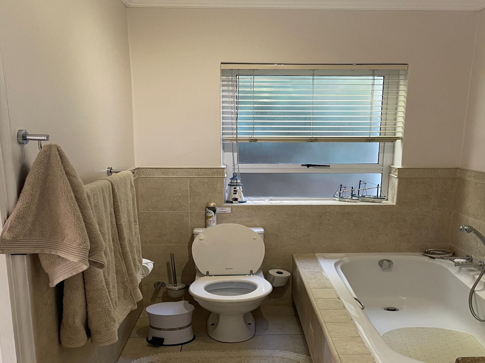 The Blue Marine Self Catering Mountainside Gordons Bay Western Cape South Africa Bathroom