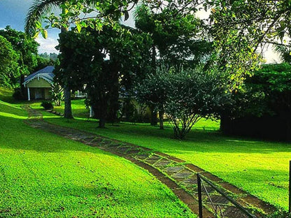 Blue Mountain Luxury Lodge Hazyview Mpumalanga South Africa Tree, Plant, Nature, Wood