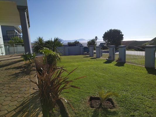 Blue Owl Guest House, Grave, Architecture, Religion, Palm Tree, Plant, Nature, Wood, Cemetery