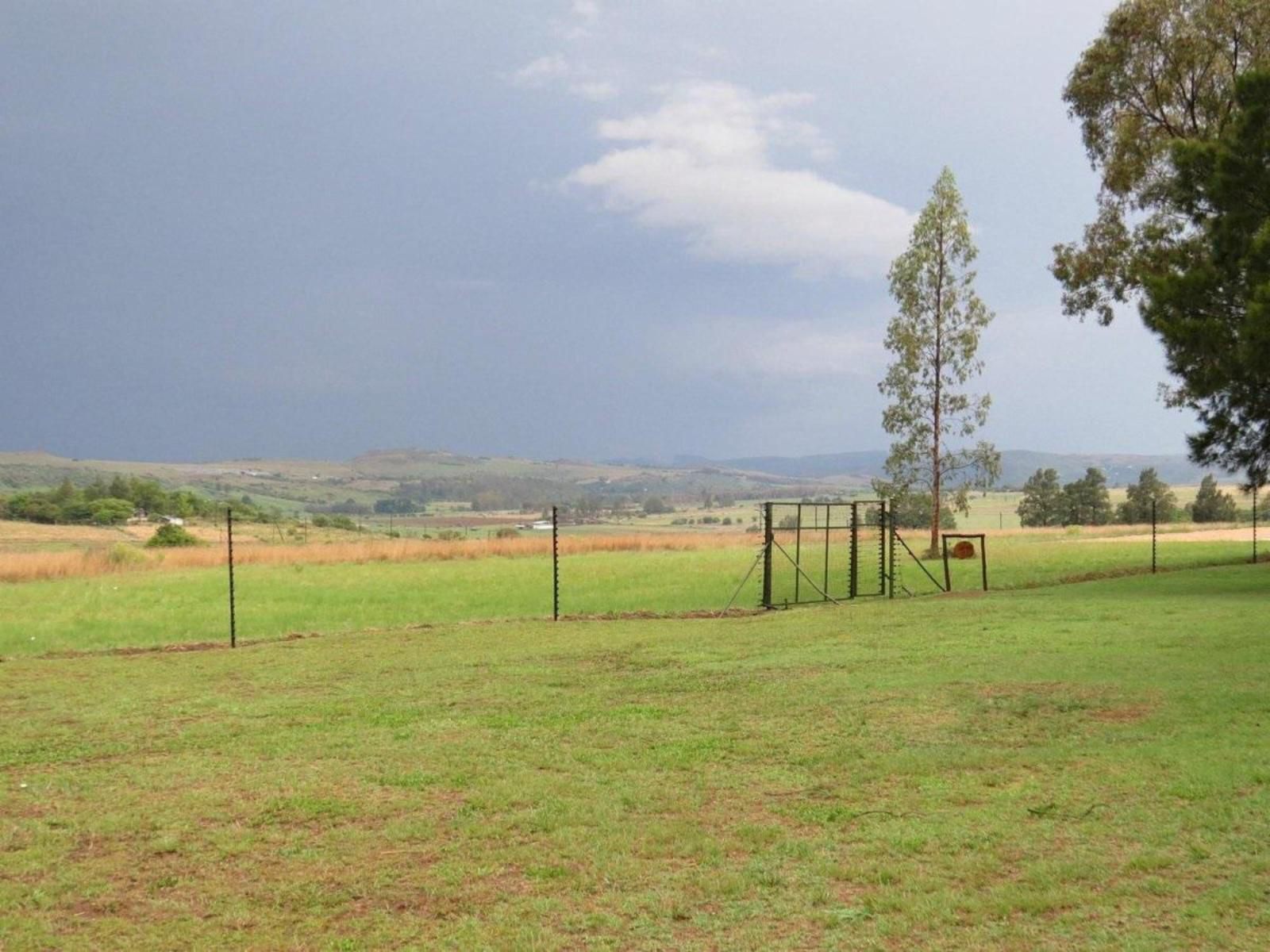 Blue Roan Country Lodge, Field, Nature, Agriculture, Lowland