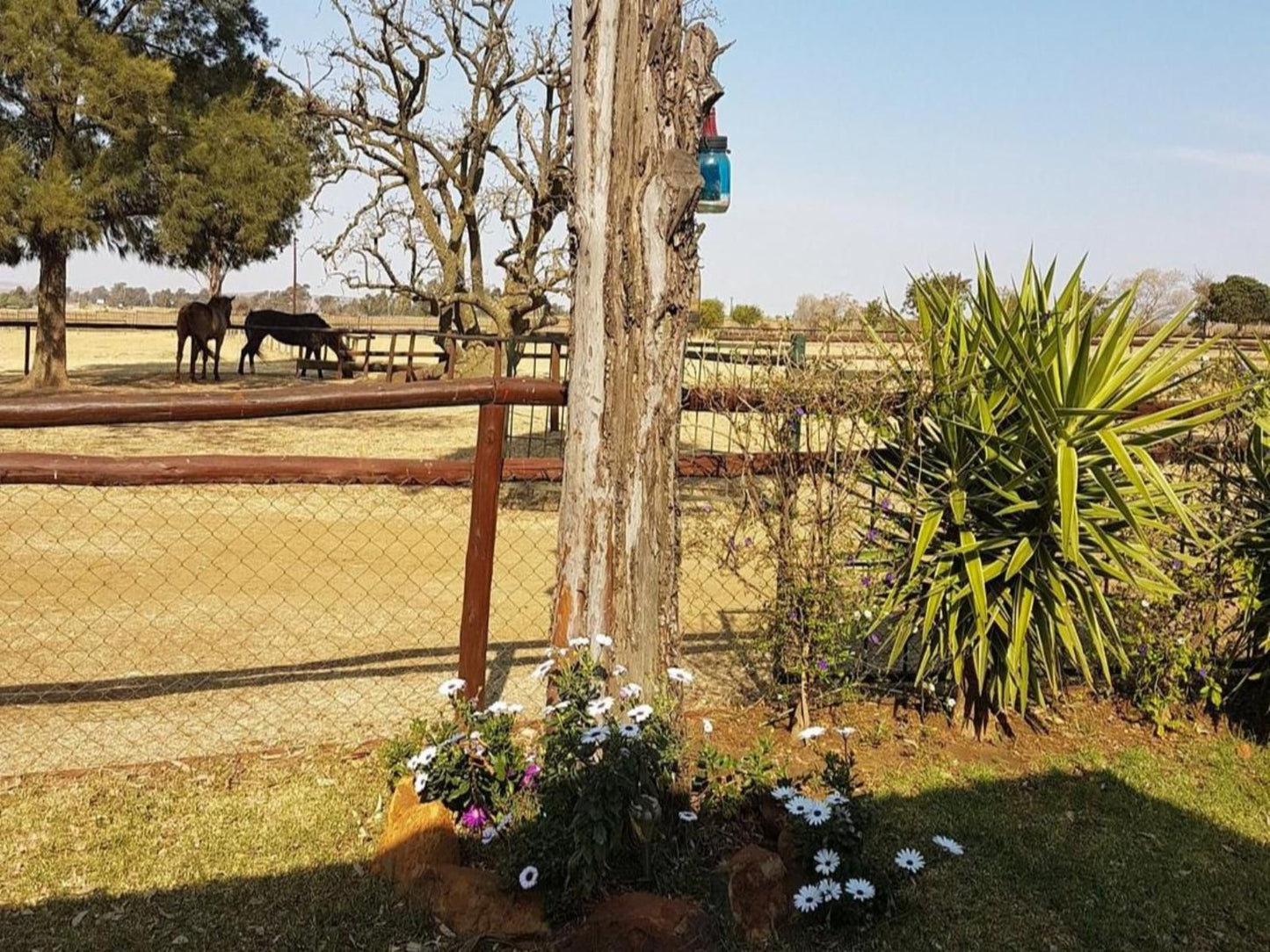 Blue Roan Country Lodge, Cemetery, Religion, Grave