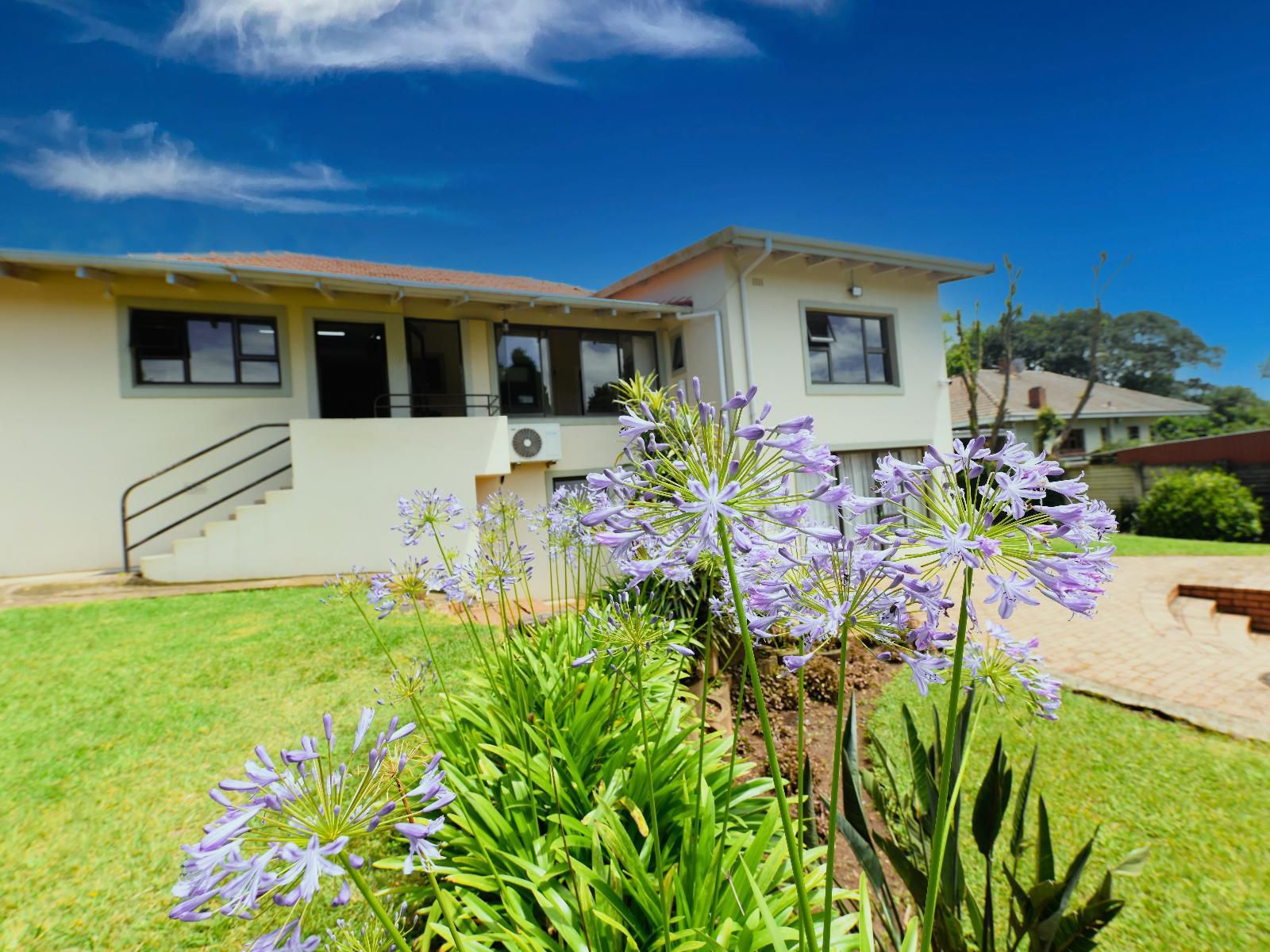 Blue Sands Guest House, House, Building, Architecture, Palm Tree, Plant, Nature, Wood