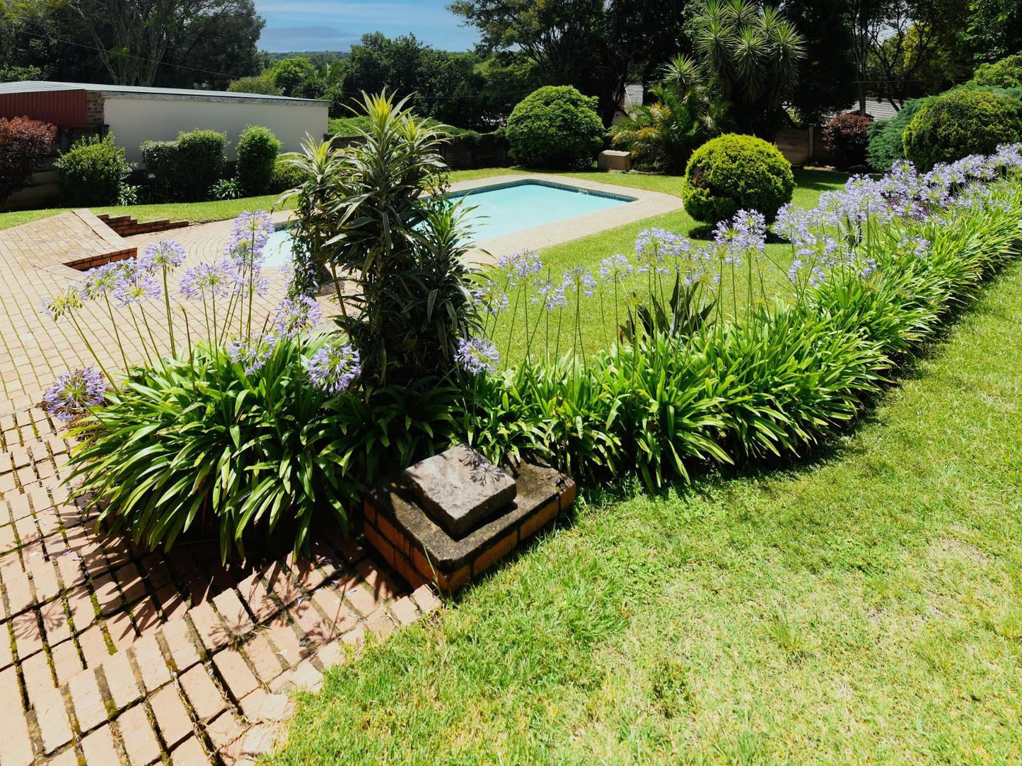 Blue Sands Guest House, Plant, Nature, Garden