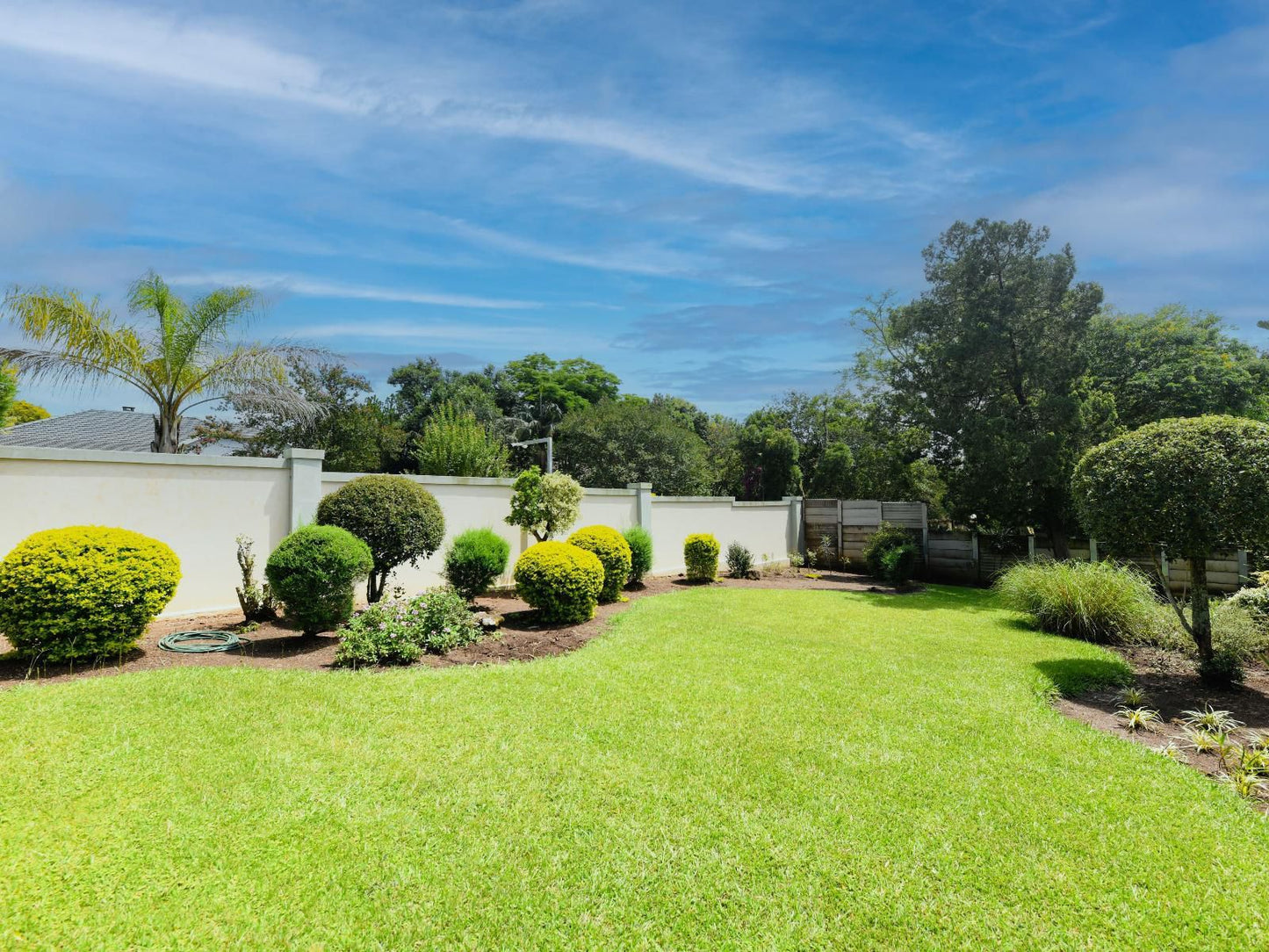 Blue Sands Guest House, Palm Tree, Plant, Nature, Wood, Garden