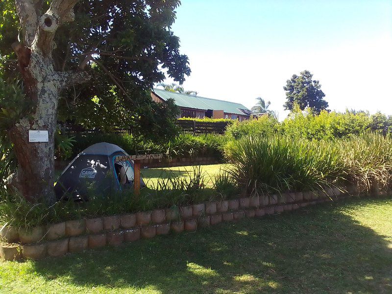 Blue Sky Mining Bandb Warner Beach Kingsburgh Kwazulu Natal South Africa Train, Vehicle, Palm Tree, Plant, Nature, Wood