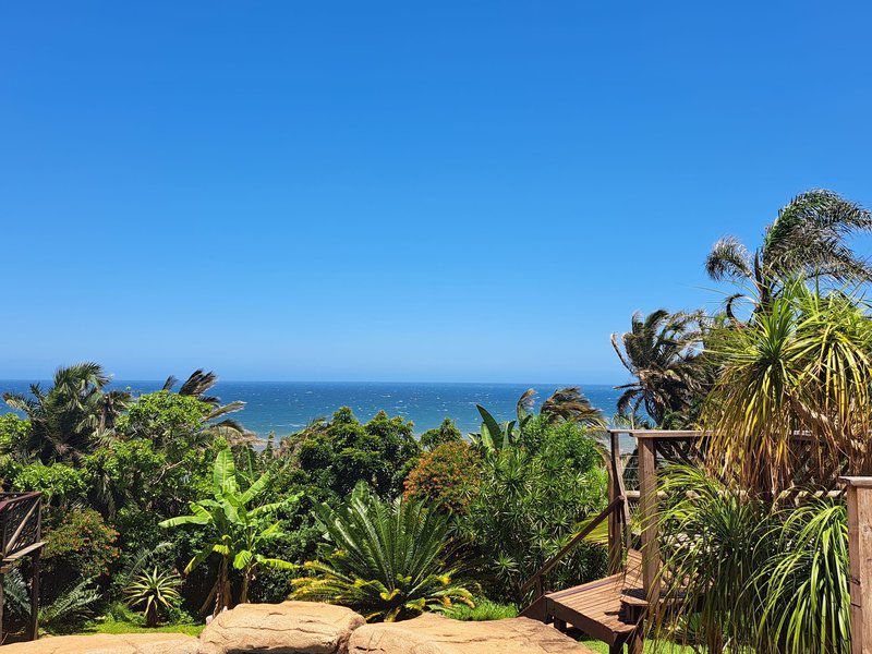 Blue Sky Mining Bandb Warner Beach Kingsburgh Kwazulu Natal South Africa Complementary Colors, Beach, Nature, Sand, Palm Tree, Plant, Wood