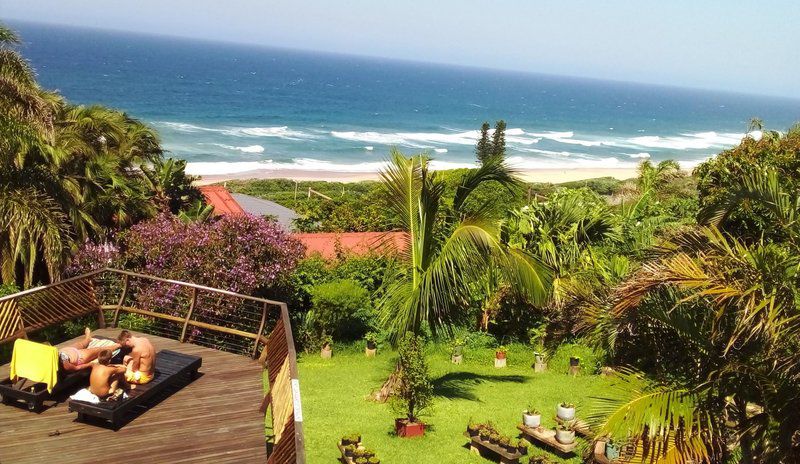 Blue Sky Mining Bandb Warner Beach Kingsburgh Kwazulu Natal South Africa Complementary Colors, Beach, Nature, Sand, Palm Tree, Plant, Wood