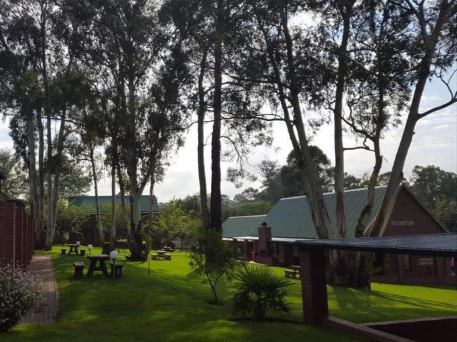 Bluegum Country Lodge, Palm Tree, Plant, Nature, Wood, Swimming Pool