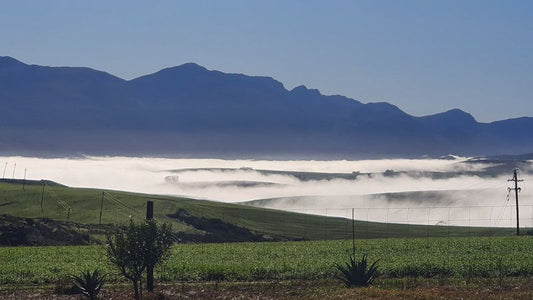 Blue Gum Farm Cottage Caledon Western Cape South Africa Field, Nature, Agriculture, Mountain