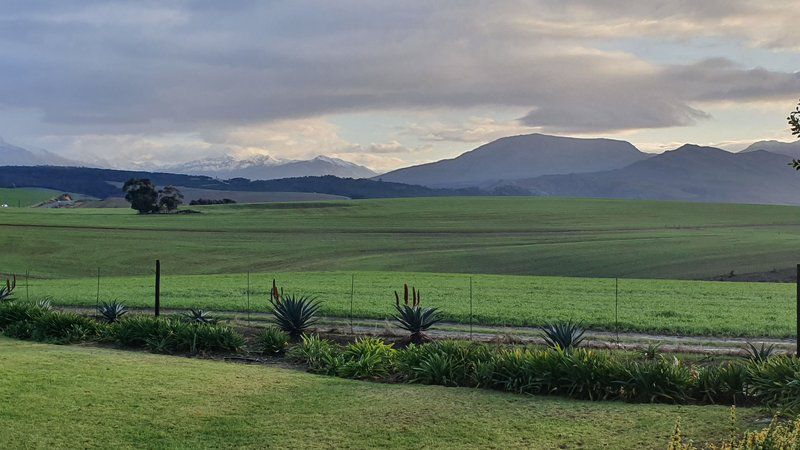 Blue Gum Farm Cottage Caledon Western Cape South Africa Field, Nature, Agriculture, Highland