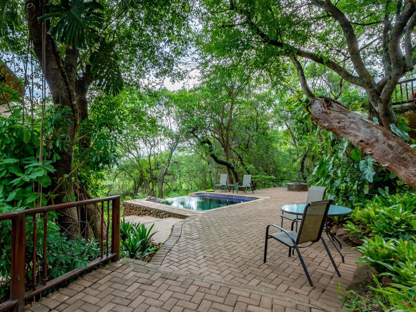 Blue Jay Lodge Hazyview Mpumalanga South Africa Plant, Nature, Garden, Swimming Pool