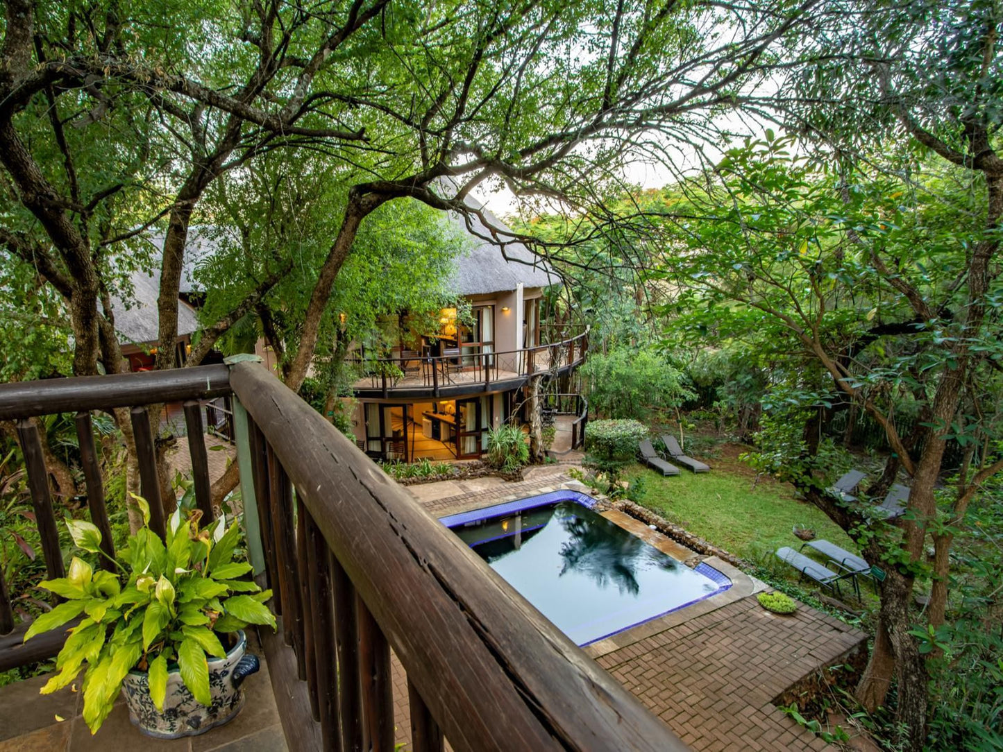 Blue Jay Lodge Hazyview Mpumalanga South Africa Garden, Nature, Plant, Swimming Pool