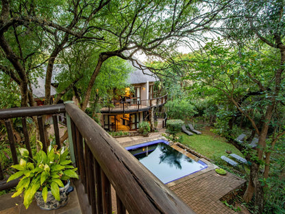 Blue Jay Lodge Hazyview Mpumalanga South Africa Garden, Nature, Plant, Swimming Pool