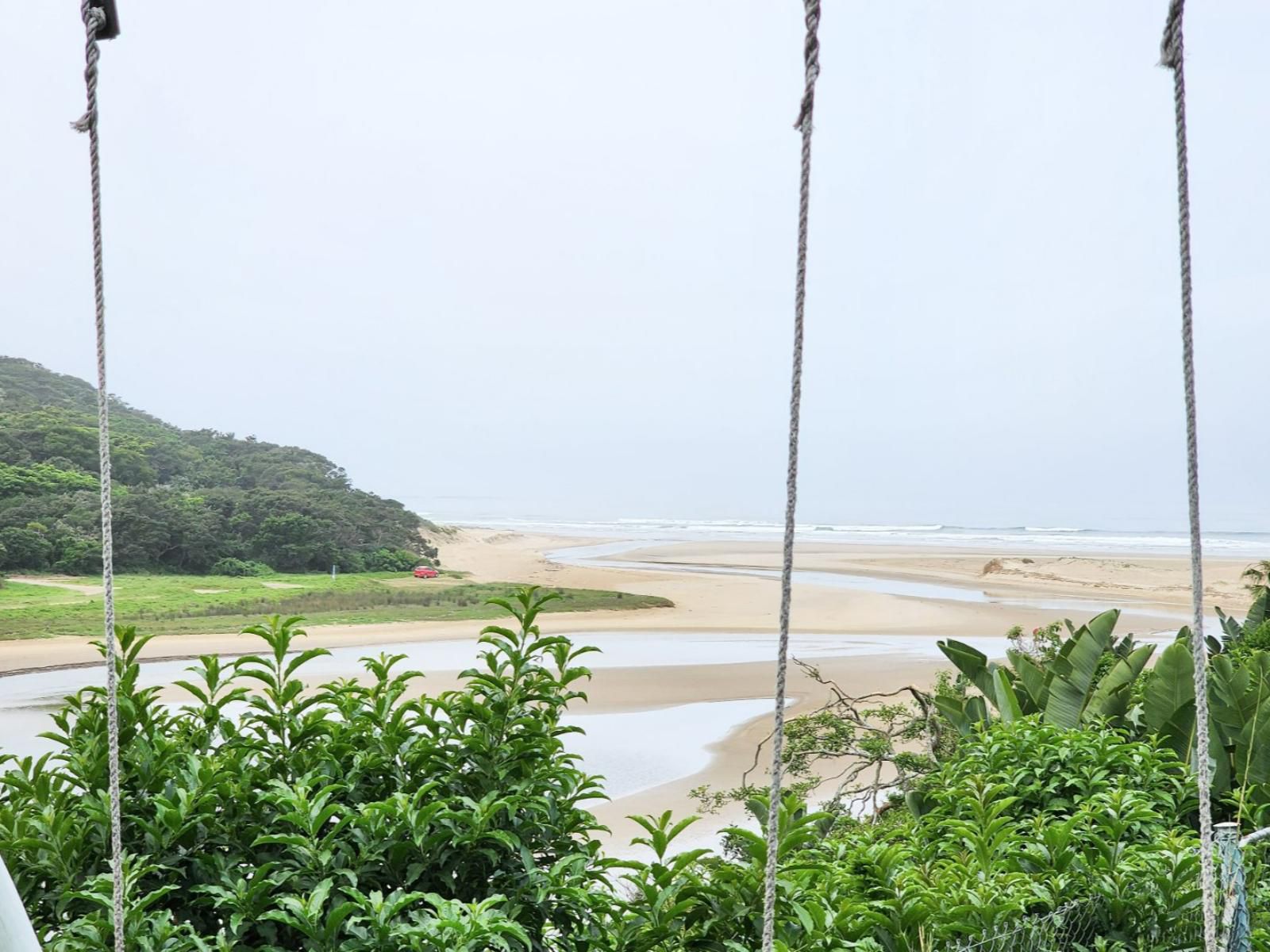 Blue S Guest House Bonza Bay East London Eastern Cape South Africa Beach, Nature, Sand, Palm Tree, Plant, Wood