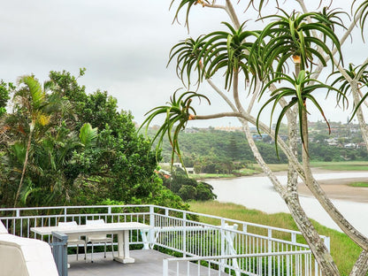 Blue S Guest House Bonza Bay East London Eastern Cape South Africa Palm Tree, Plant, Nature, Wood