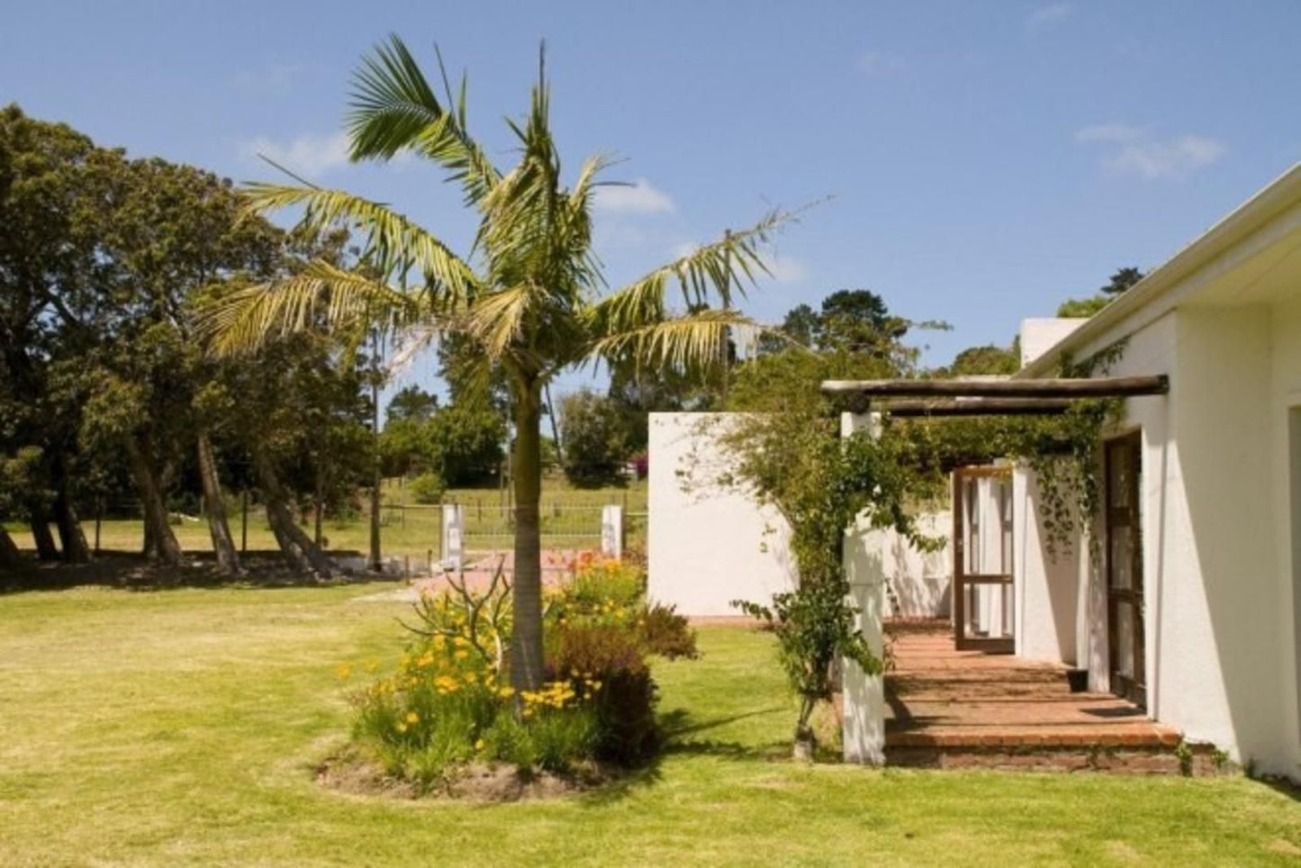 Blue Skies Country House Theescombe Port Elizabeth Eastern Cape South Africa Complementary Colors, House, Building, Architecture, Palm Tree, Plant, Nature, Wood