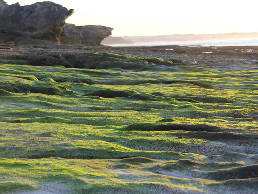 Bluesky Guest House Arniston Arniston Western Cape South Africa Beach, Nature, Sand