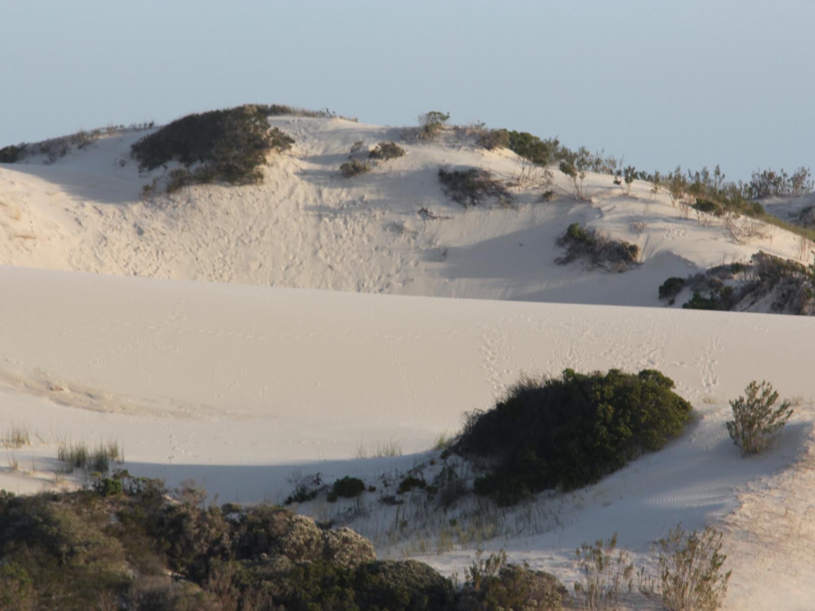 Bluesky Guest House Arniston Arniston Western Cape South Africa Nature