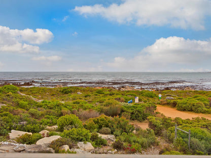 Blueview On Silversand By Hostagents Bettys Bay Western Cape South Africa Complementary Colors, Beach, Nature, Sand