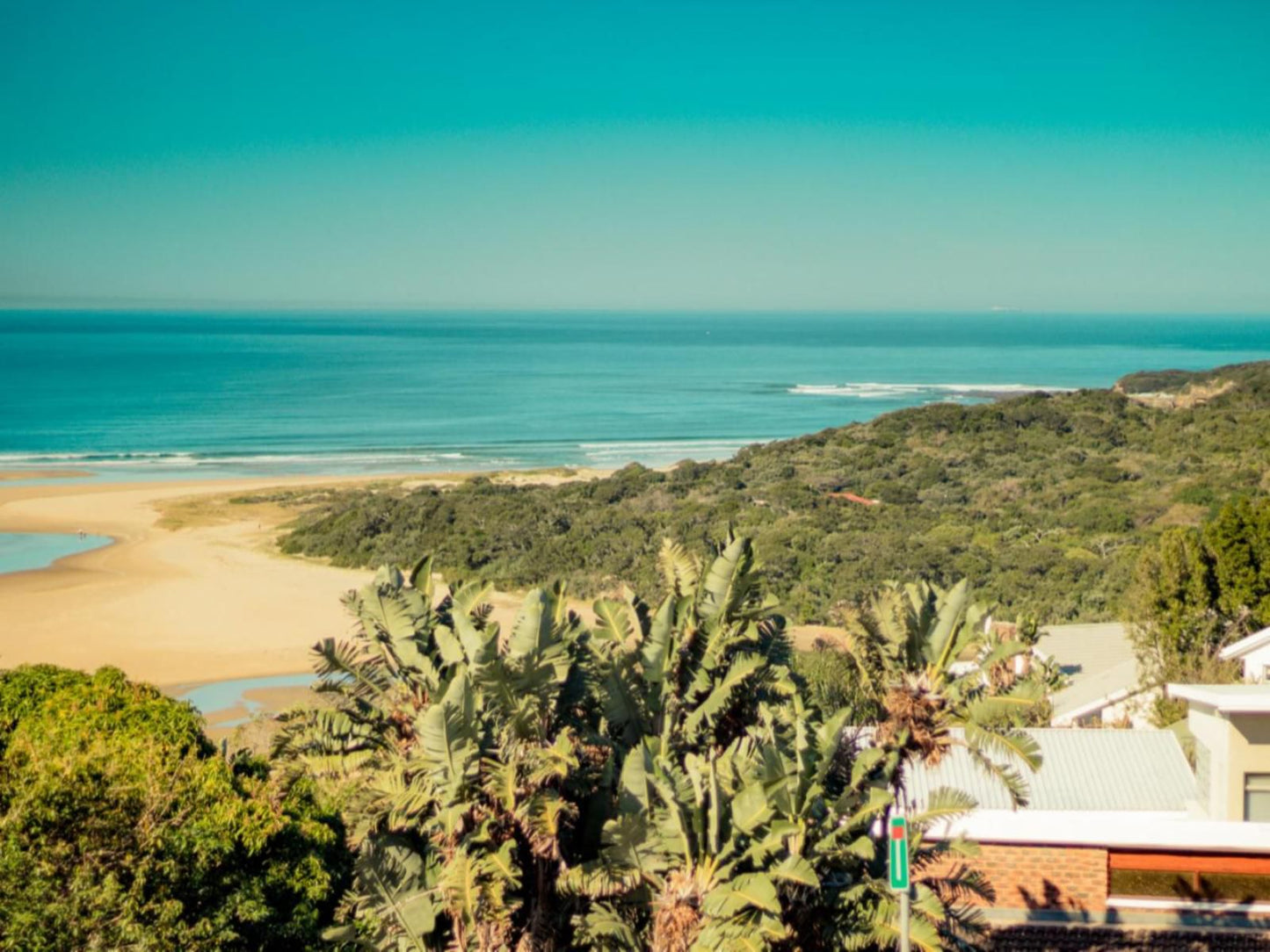 Blue View Bandb Blue Bend East London Eastern Cape South Africa Complementary Colors, Colorful, Beach, Nature, Sand, Palm Tree, Plant, Wood