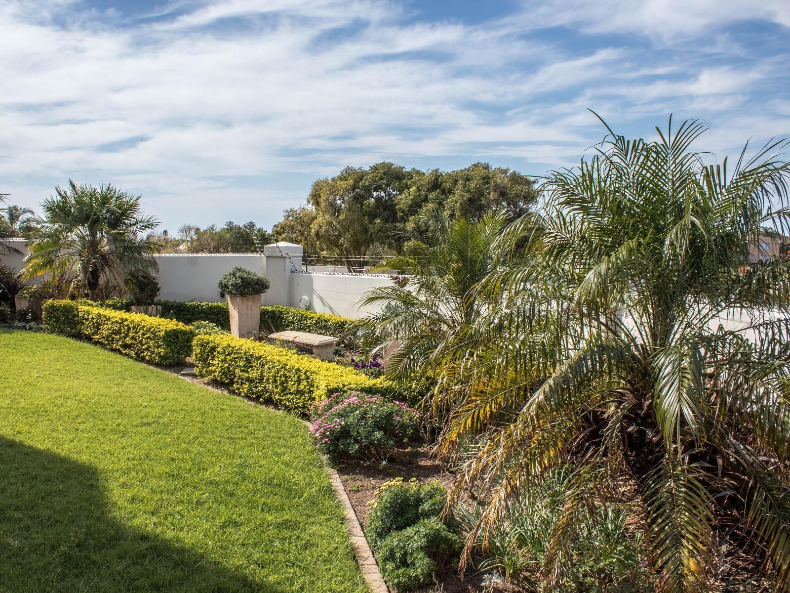 Blue View Bandb Blue Bend East London Eastern Cape South Africa Complementary Colors, Palm Tree, Plant, Nature, Wood, Garden