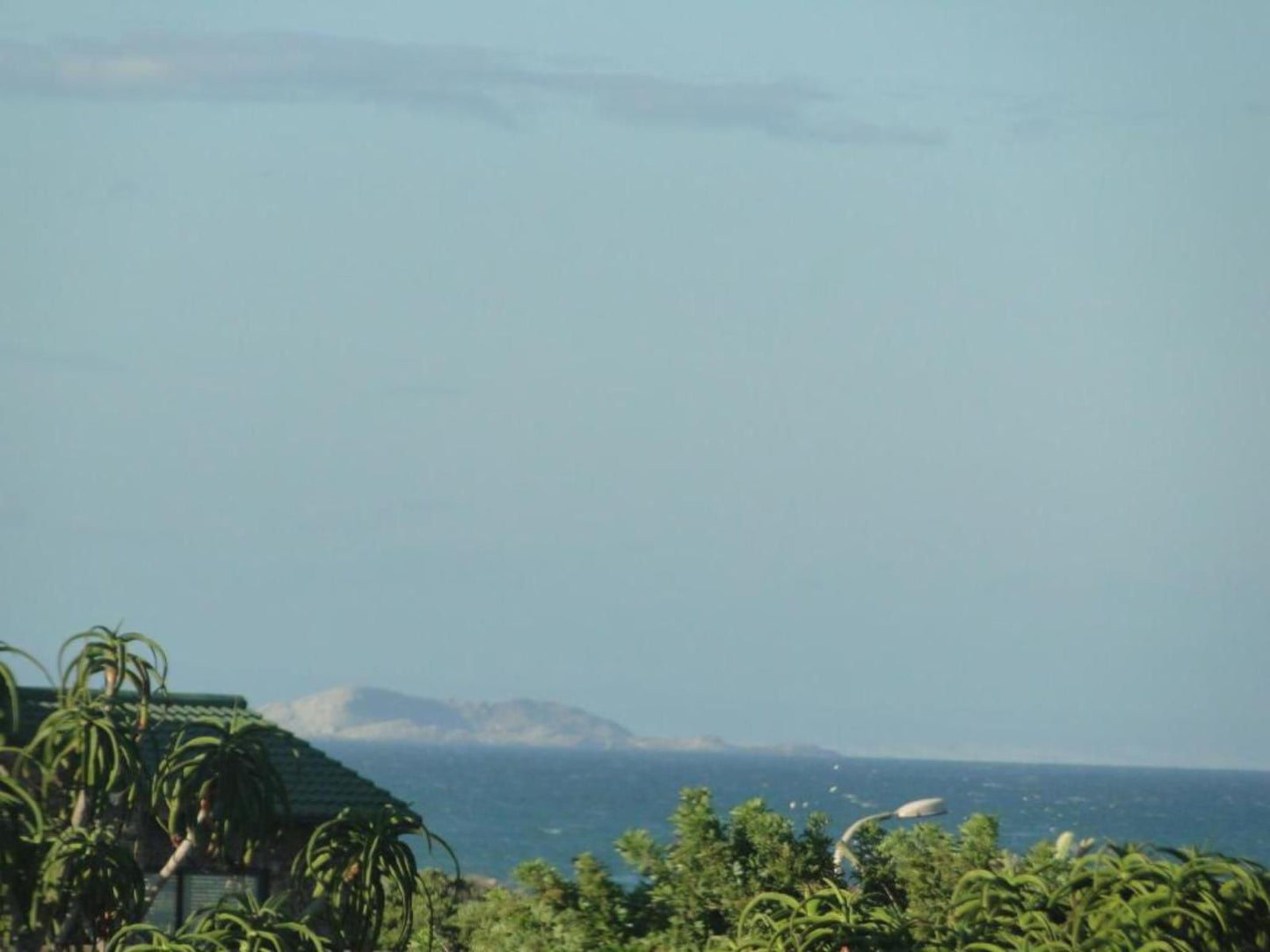 Bluewater Beach Bandb Bluewater Bay Port Elizabeth Eastern Cape South Africa Palm Tree, Plant, Nature, Wood