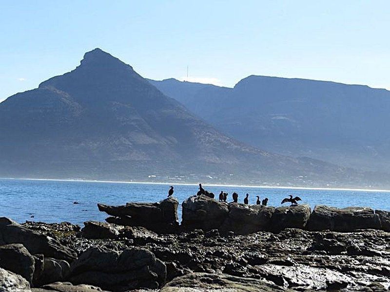 Bluewhaleway Klein Slangkop Cape Town Western Cape South Africa Beach, Nature, Sand, Mountain