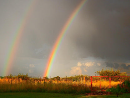 Bly N Bietjie Hartbeespoort Dam Hartbeespoort North West Province South Africa Rainbow, Nature